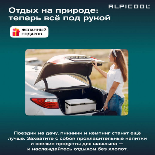 Холодильник авто Alpicool 25л серия К 12V/24V220V