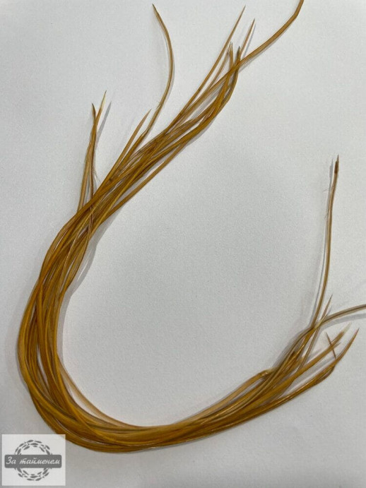 Перо петушиного седла White dyed Medium Ginger 1шт.