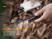 Фонарь Fenix E 05RBR  (коричневый)