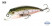 Воблер TSURIBITO MINNOW 50F / 050